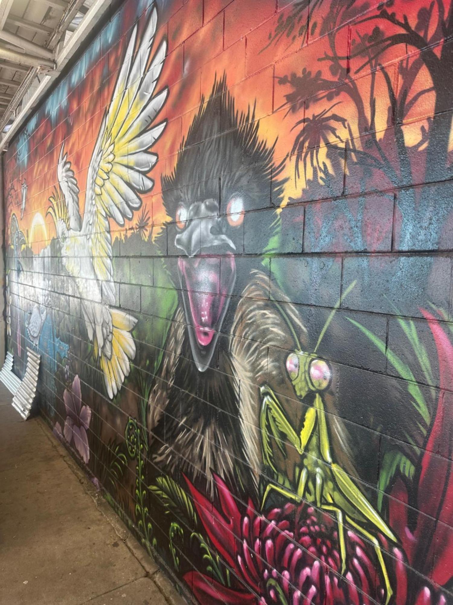 Albergue Habitat Backpackers Brisbane Exterior foto