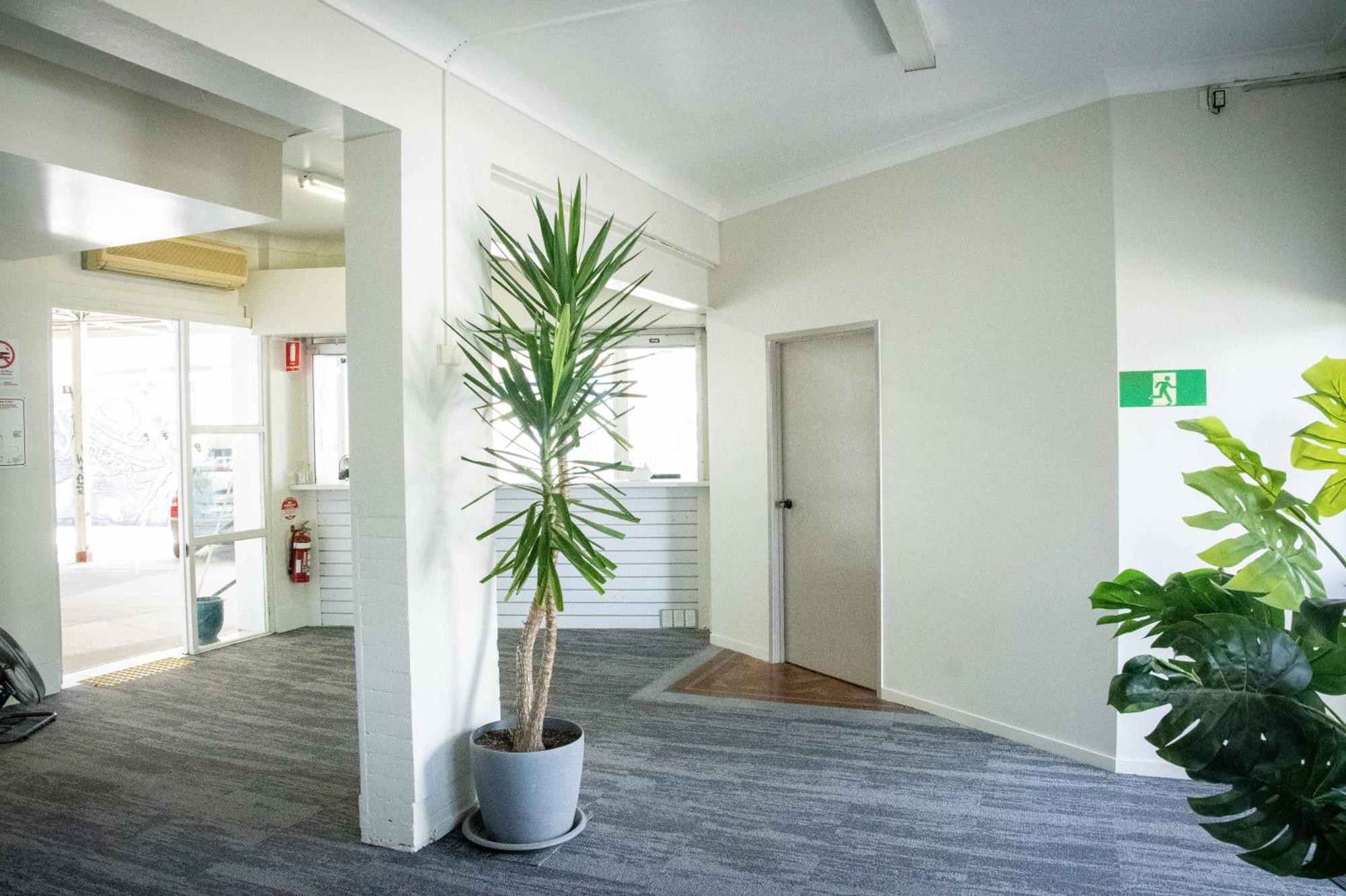 Albergue Habitat Backpackers Brisbane Exterior foto